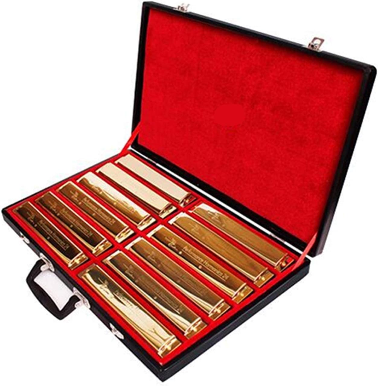 Harmonica 12Pcs/Set Harmonica 24 Hole 12- Tune Set Packing Golden Color Tremolo Harp with Gift Box Mouth Organ for Collect Gaita