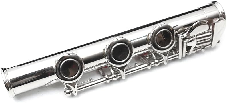 Vetimobato 17 Keys C Flute Closed Hole for Beginners, Students, Adults and Professionals– Nickel Siver Flute with Hard Case, Cleaning Kit, Tuning Rod – Easy to Play