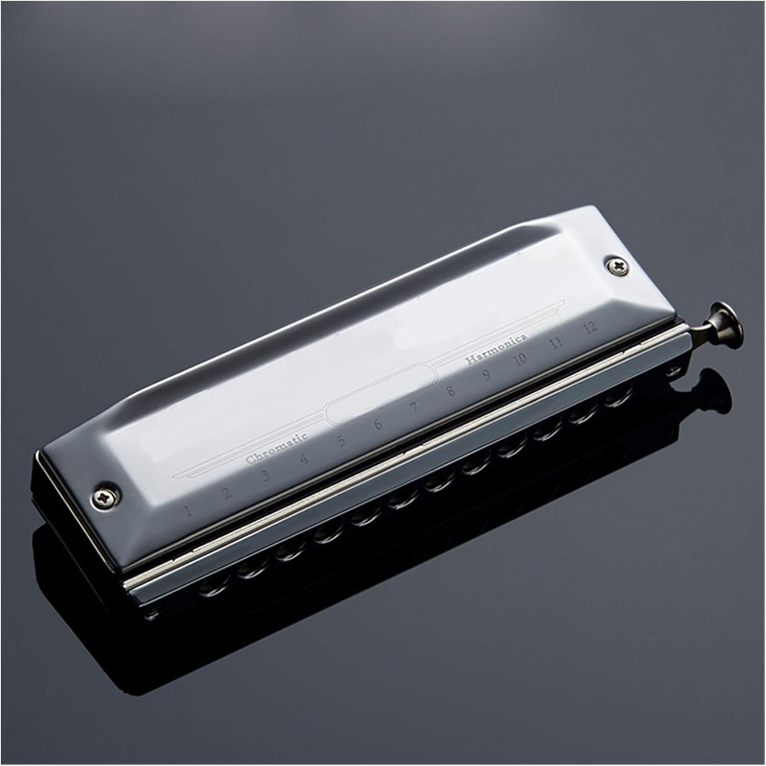 Harmonica Chromatic Harmonica Tones Mouth Organ Instrumentos Key C Professional Chromatic Harp Musical Instruments (Color : SW 1664)