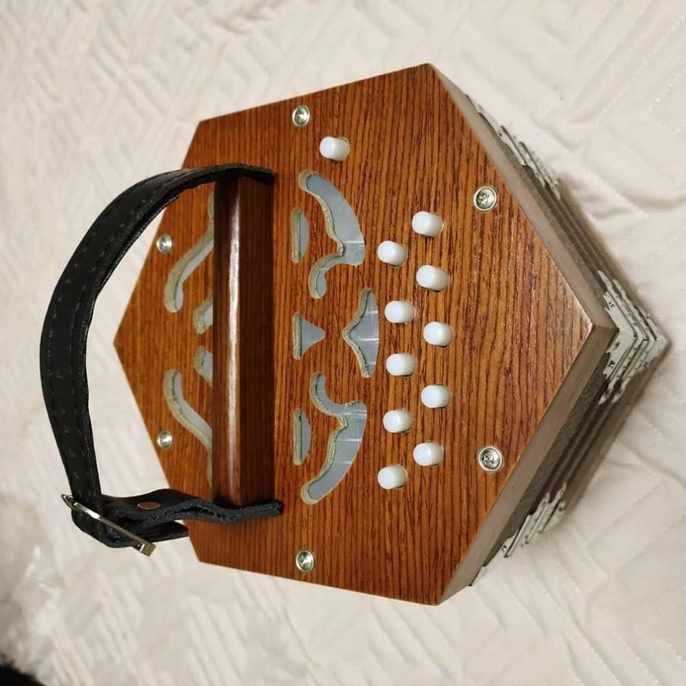 20 Buttons Concertina Accordion, Adjustable Hand Strap And Bag, High-end And Elegant Ergonomic Design, Accordion For Daily Practice Stage Performance