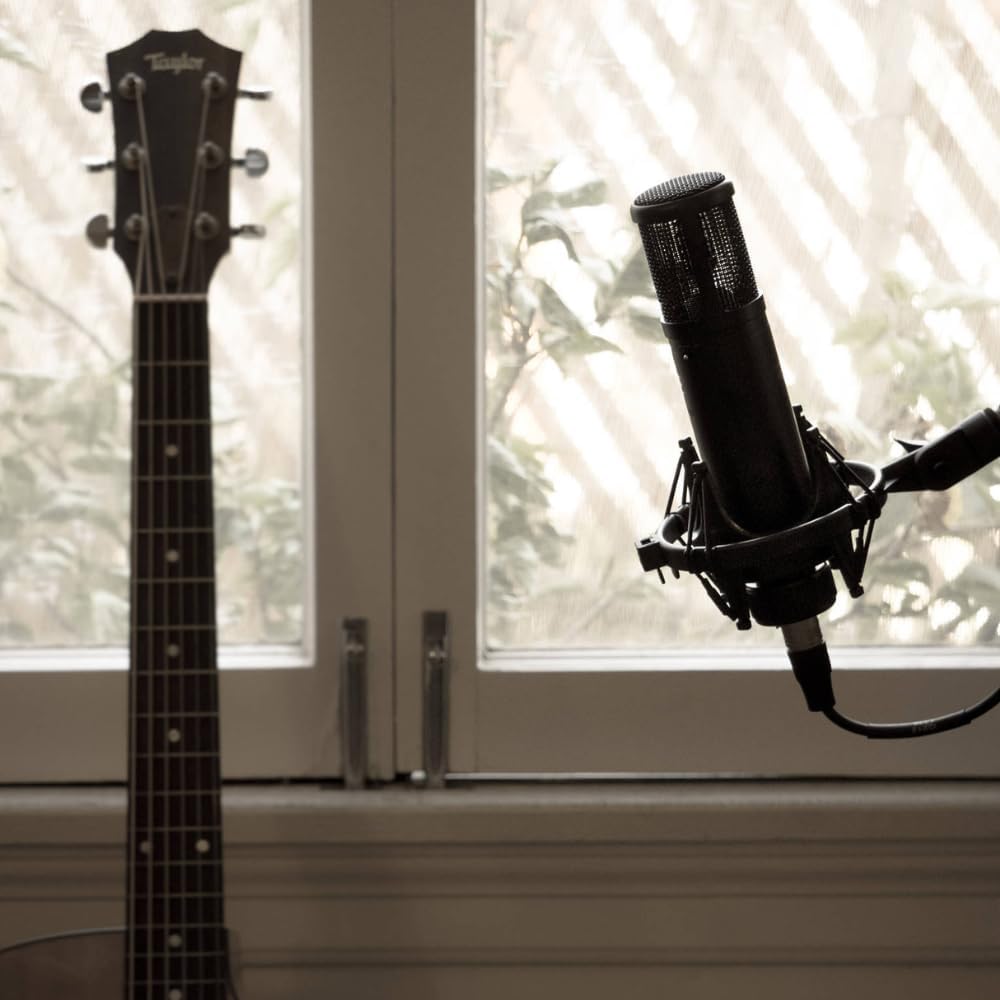 sE Electronics sE2200 Large-Diaphragm Condenser Microphone Bundle w/Pig Hog PHM10 8mm Mic Cable Polishing Cloth