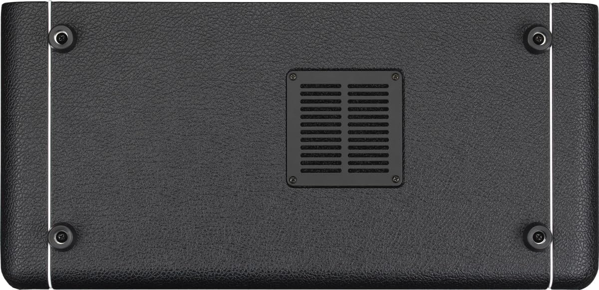 Laney Digbeth Nathan East Bass Head, 1000 Watts