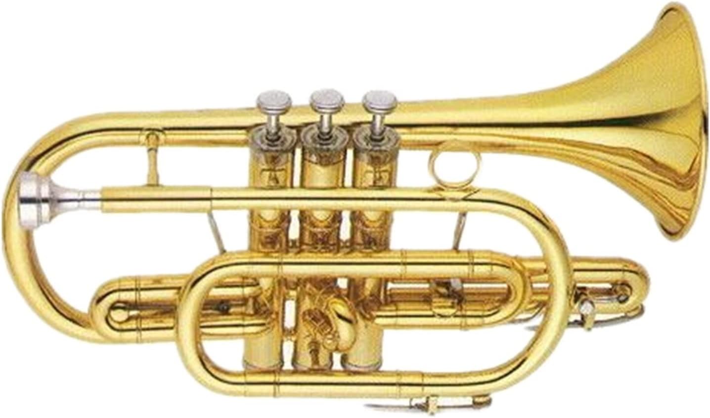 FLFL Student Trumpet Brass Body Gold Lacquer Finish Standard Bb Cornet
