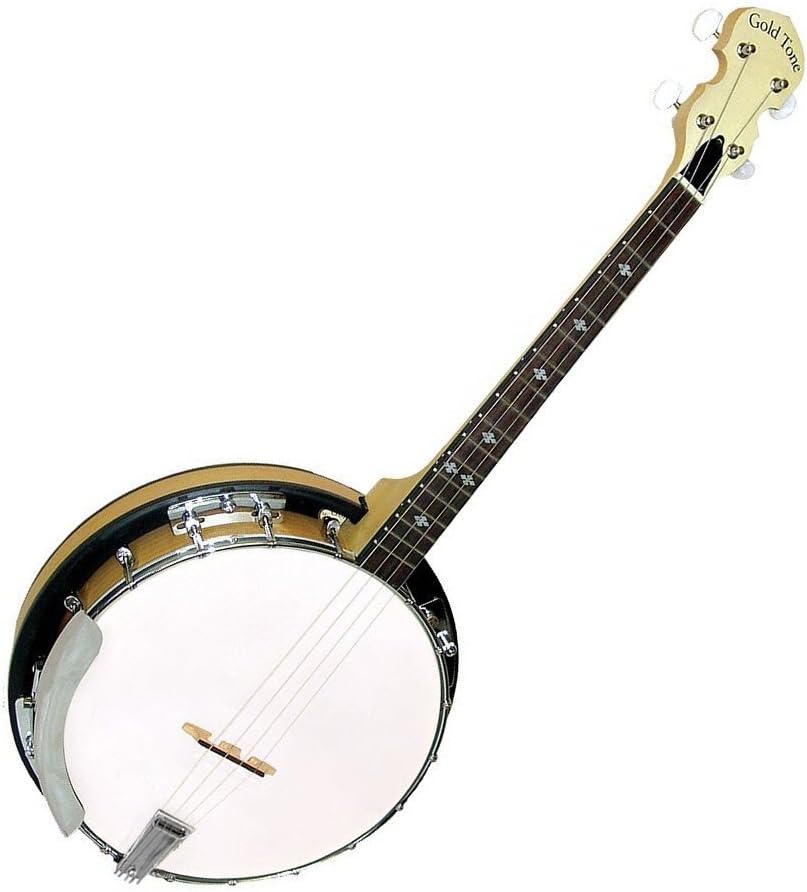 Gold Tone 4-String Irish Tenor Banjo w/Gig Bag
