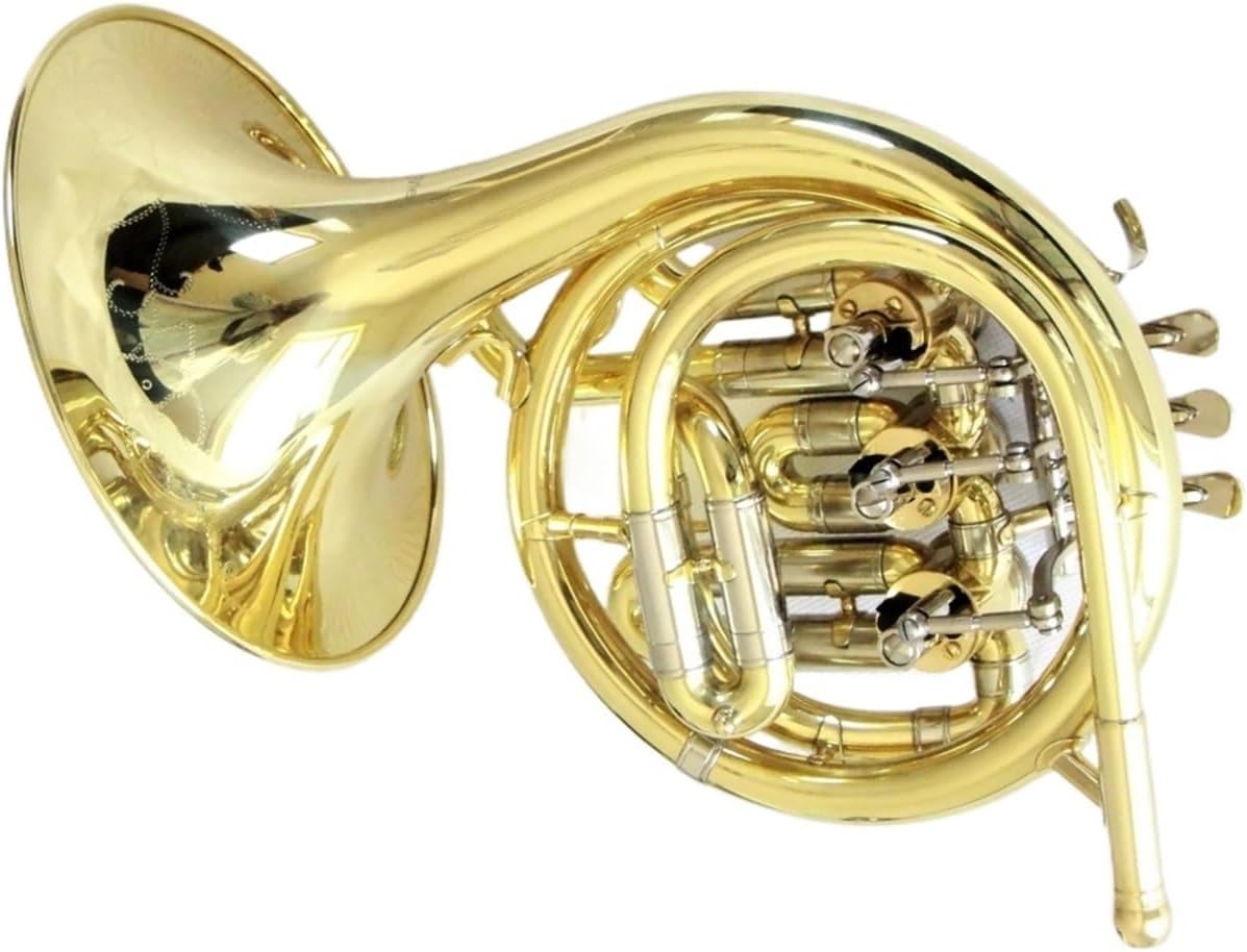 Brass French Horn Mini French Horn Instrument Gold Lacquered French Horn Cloth Cover Foam Box