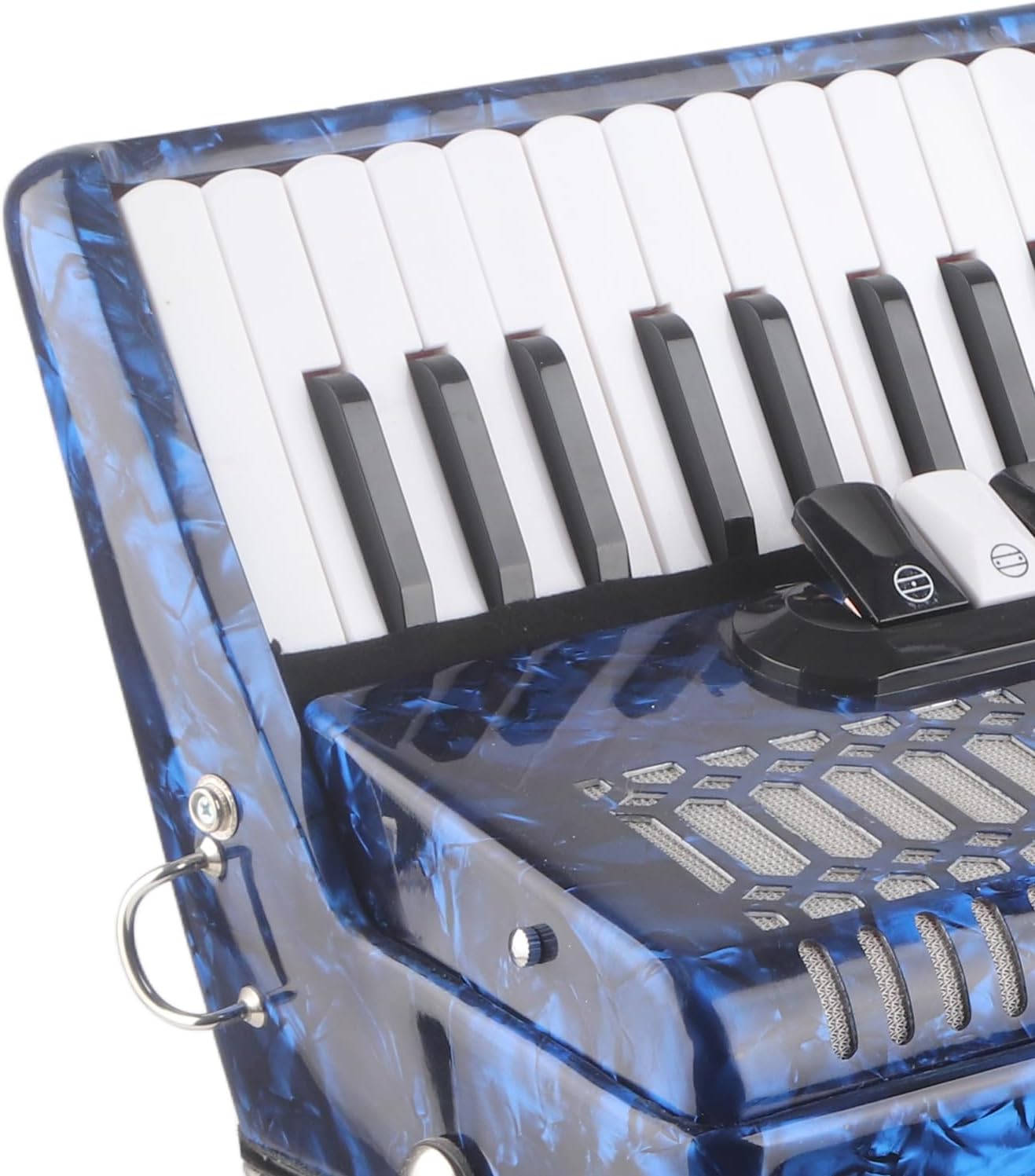 Piano Accordion, ABS Celluloid Accordion for Home Music Classroom