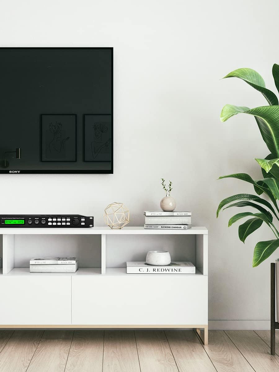 Depusheng X5 Karaoke Professional Digital Audio Processor Can Set via a PC Interface Prevent Howling