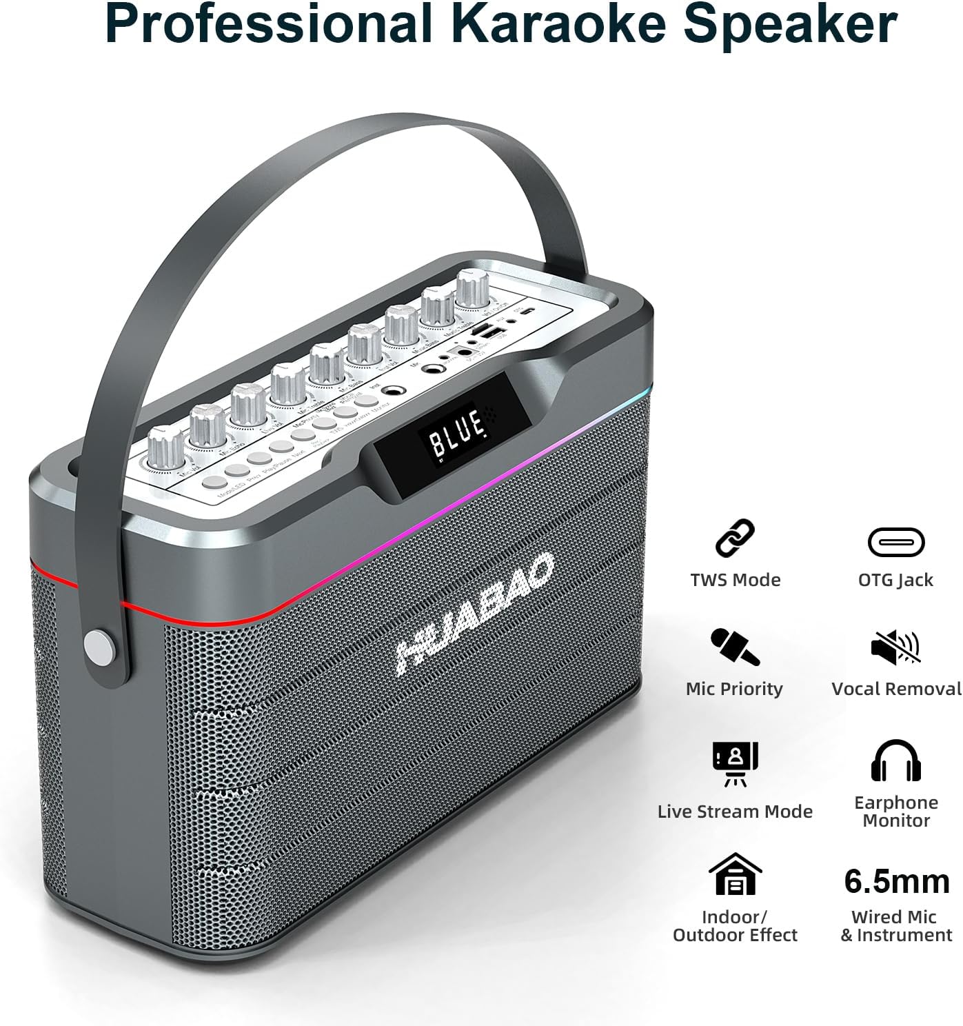 Karaoke Machine - 100W Bluetooth Speaker with Super Bass, 2 Wireless Microphones, Portable PA System with LED Lights, TWS Pairing, Bass/Treble/Echo Adjustment, Professional Loudspeaker