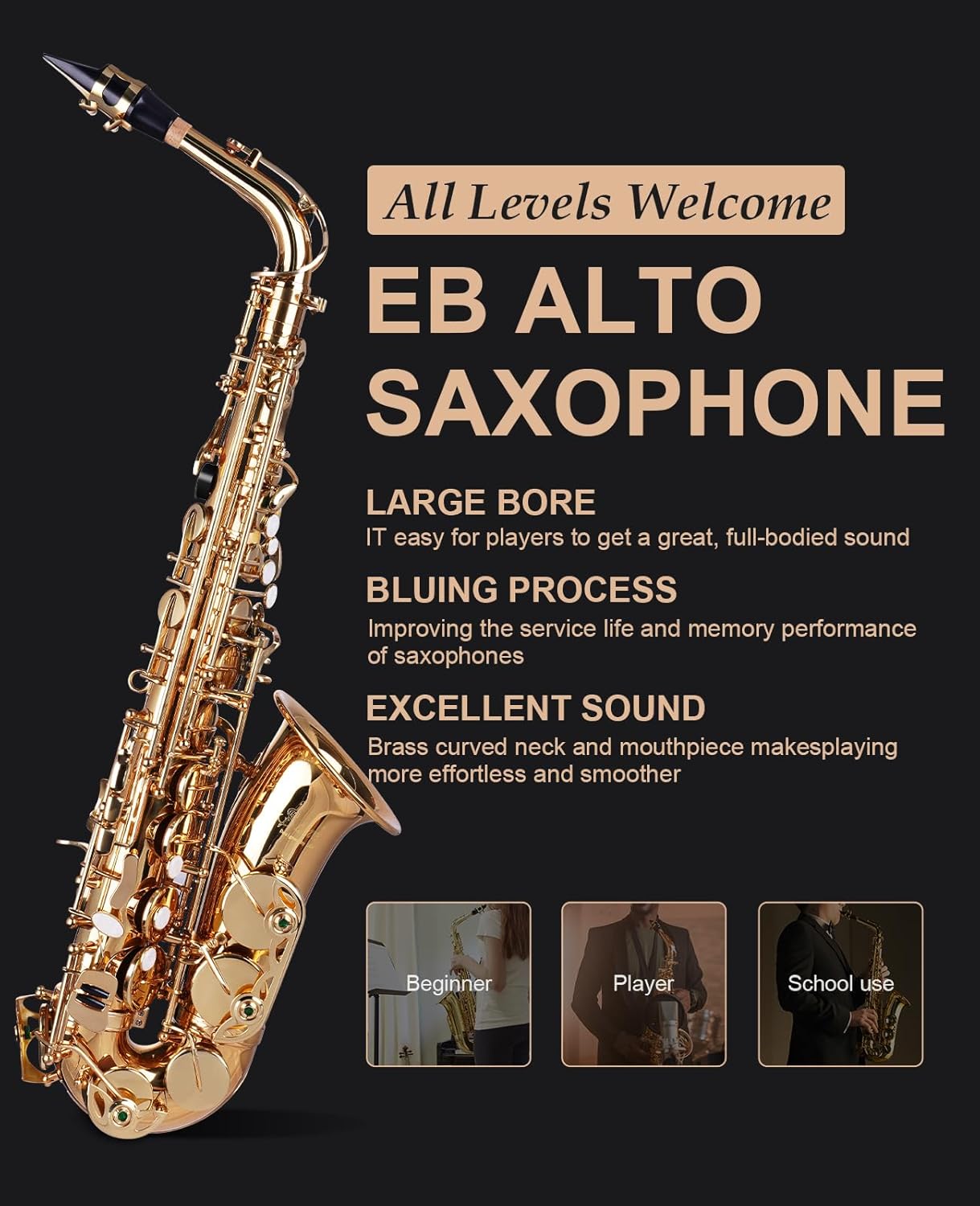 Eb Alto Saxophone - Beginner to Professional, Gold Finish, Adult Size