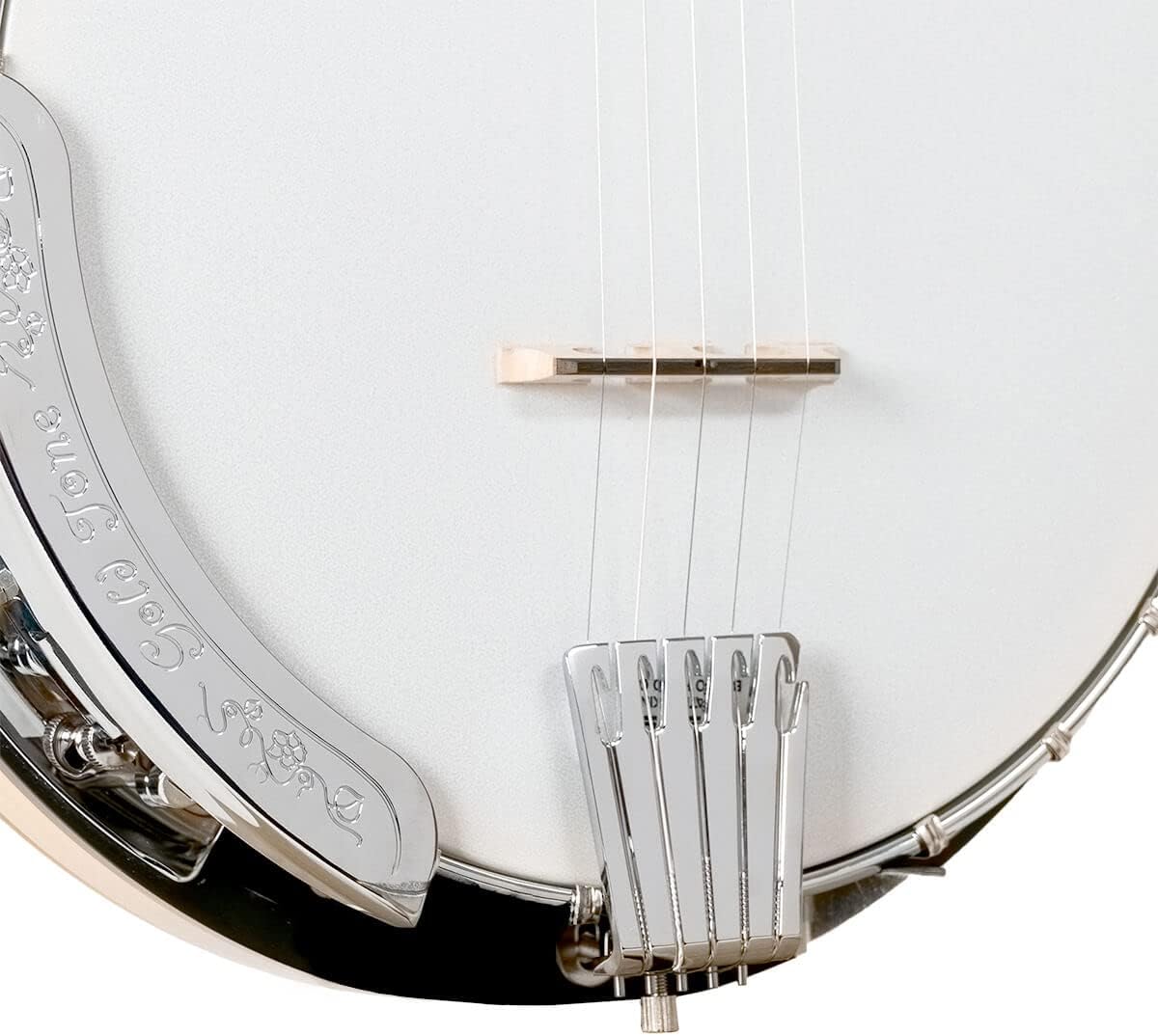 Gold Tone CC-100R: Cripple Creek Resonator Banjo with Gig Bag