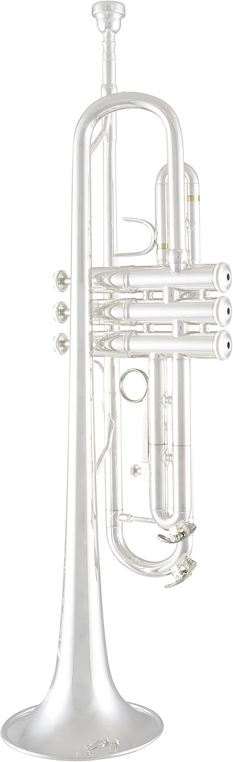 Bach Trombone, Silver (TR200S)