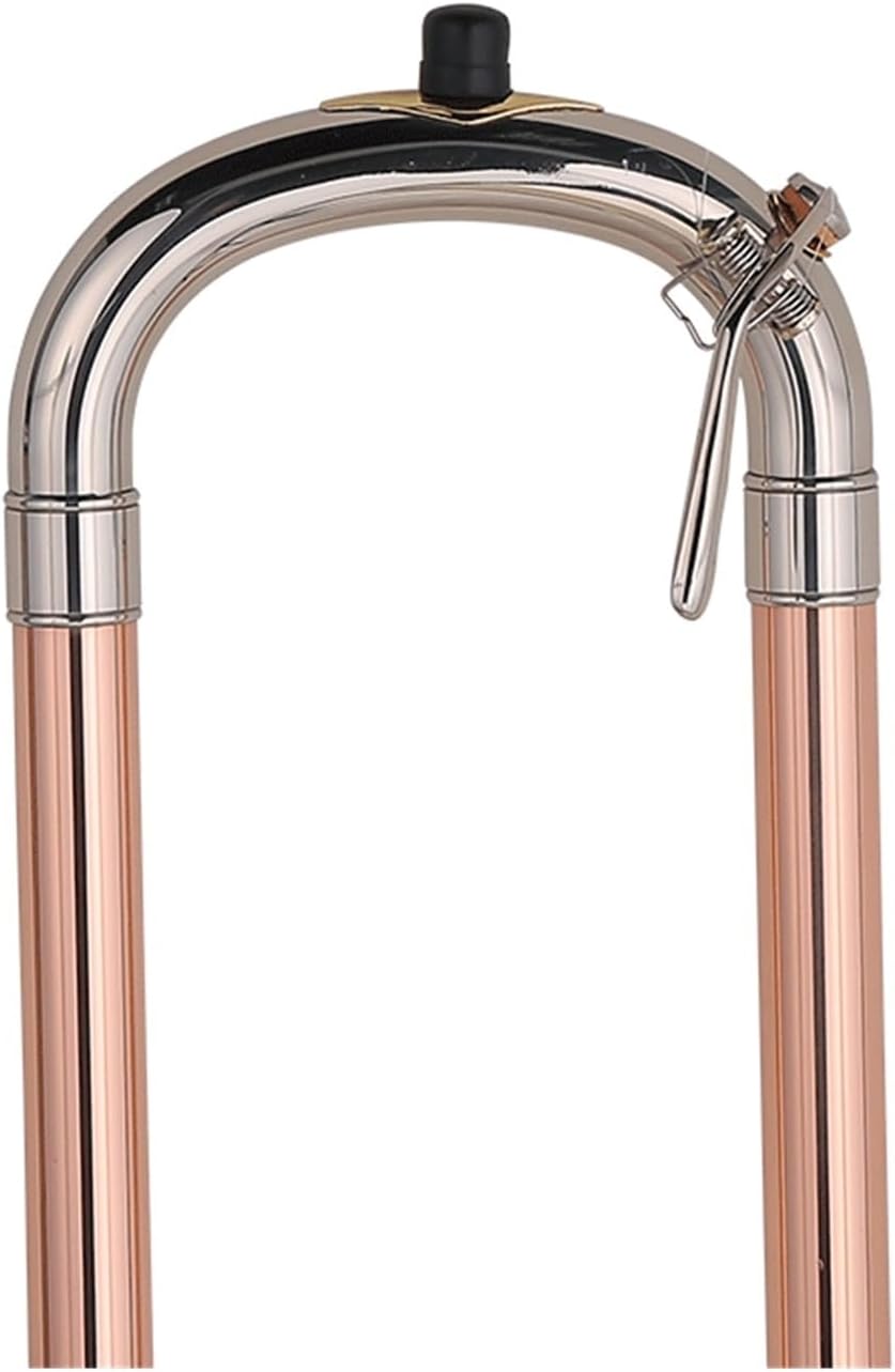 Professional Performance Practice Trombone for Beginners