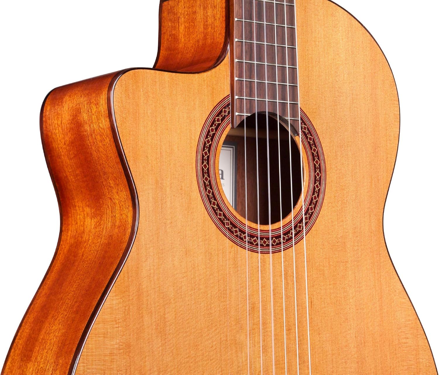 Cordoba C5-CE CD Lefty Cutaway Acoustic-Electric Nylon String Guitar, Iberia Series
