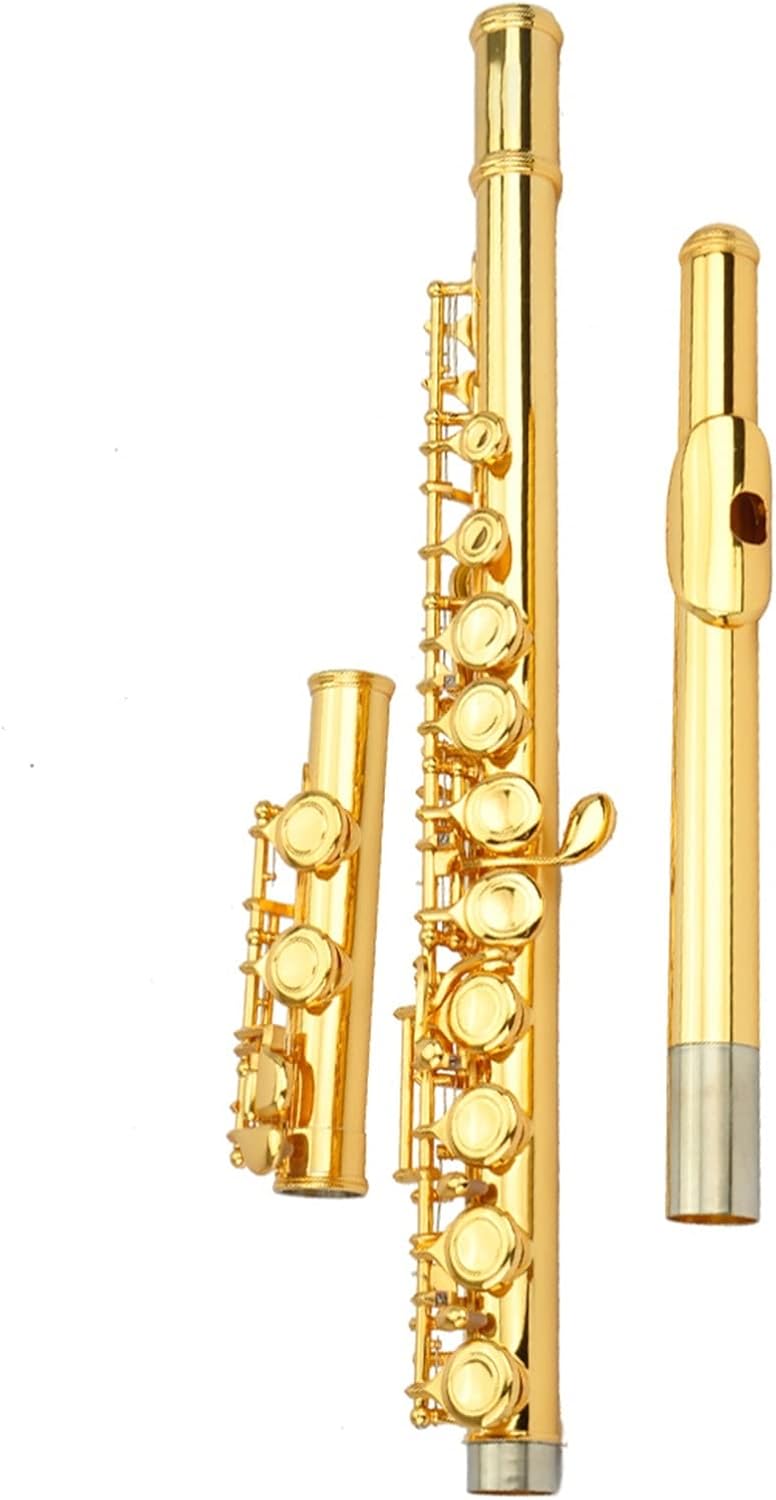 TSTS Flutes Musical Instrument Cupronickel Body 17-Key Hole Professional Flute Surface Gold-Plated Woodwind Instrument