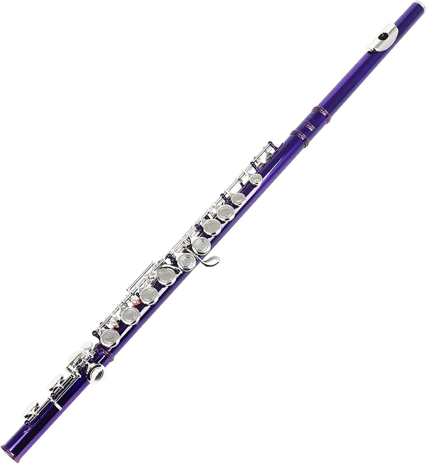 ZUZU Purple 16 Holes Flute C Tone Closed Hole Silver Key Cupronickel Flute Woodwind Instrument with Flute Case Cleaning Cloth Beginners Flute