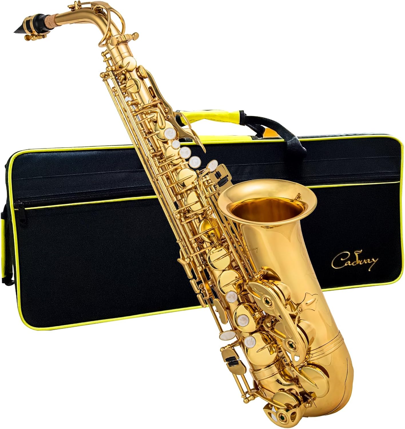 Alto Saxophone Eb beginner Saxophone includes brush canvas suitcase glove whistle piece cork plaster wipe cloth neck strap and other accessories (Gold)