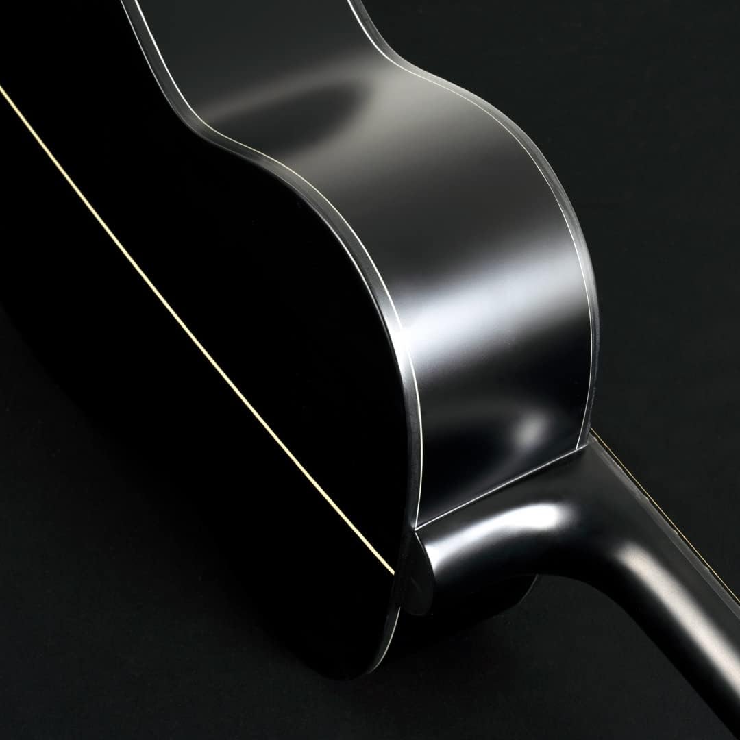 Washburn Deep Forest Ebony FE (DFEFE)