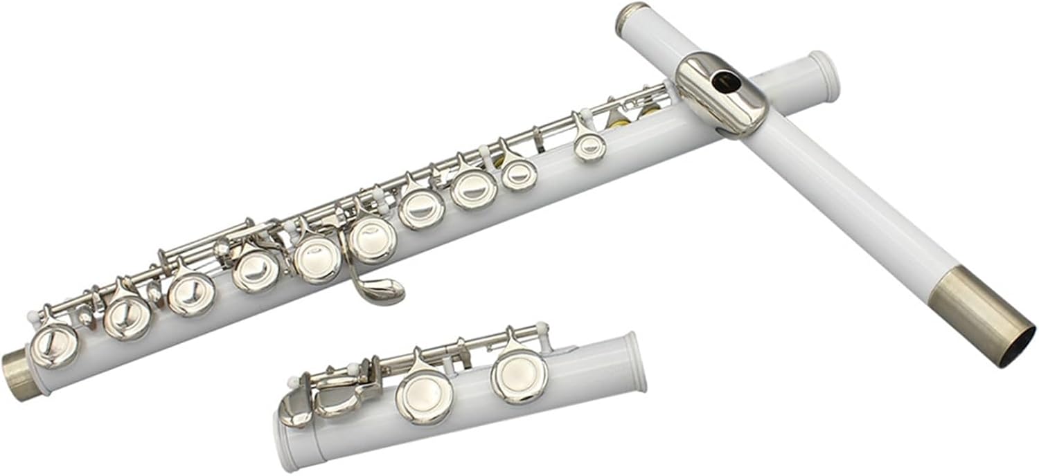 Flute 16 Close Holes C Key Flute Silver Plated Concert Flute with E Key Woodwind Instrument Flutes Musical Instruments (Color : Purple)