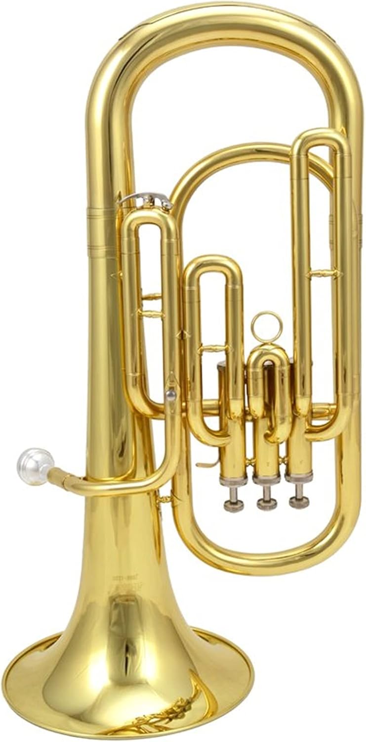 Trumpets Beginner Euphonium Musical Instrument in B Flat Three Key Small Holding Horn Palitong Brass Instrument Trumpet Set