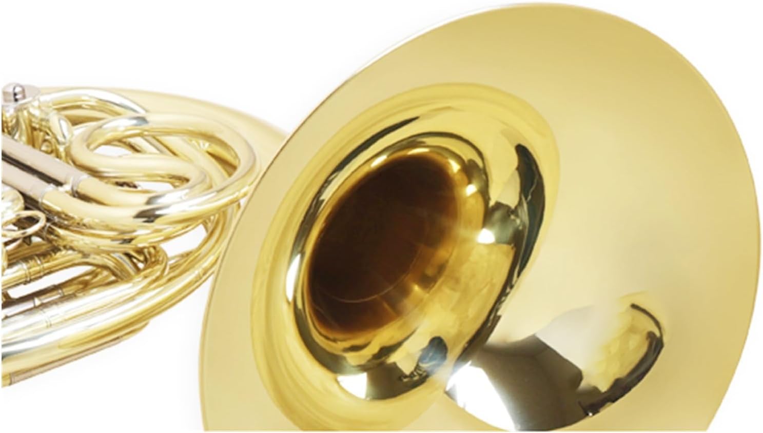 Professional instrument F key double row French horn