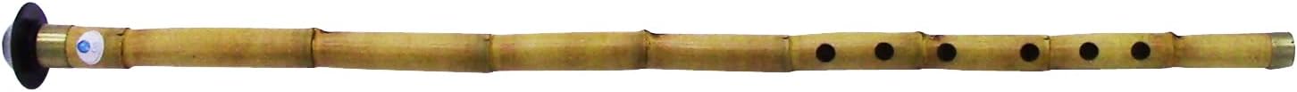 Turkish Reed, Bamboo Nay Nay Woodwind Flute with Protective carry Case (Broom (Re)= 58cm/23'')