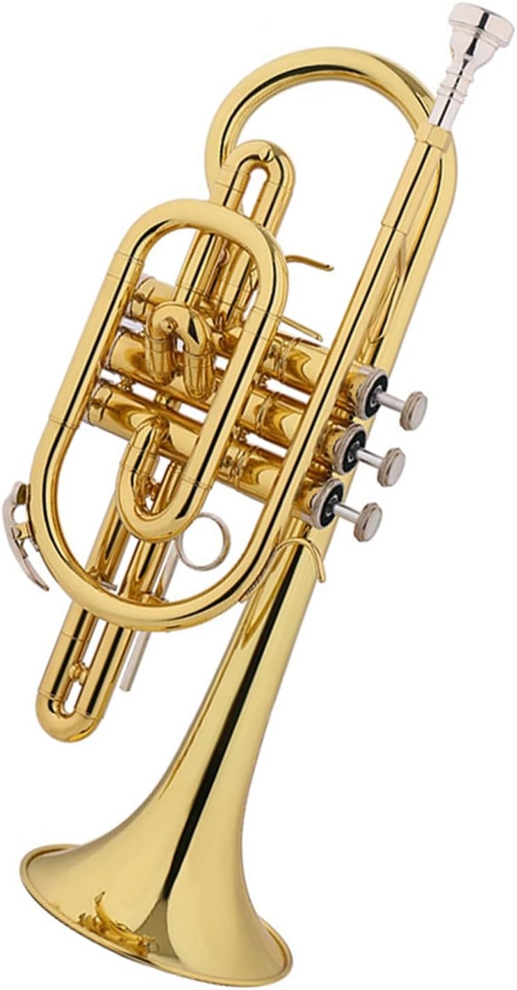 Trumpet instrument Cornet B flat professional performance