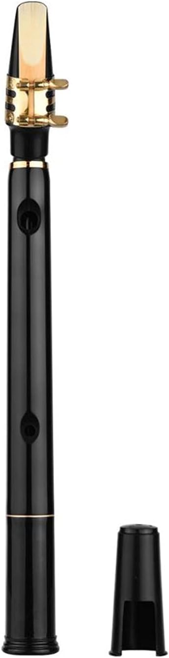 Sax Beginners Kit Black Pocket Sax Mini Portable Saxophone with Carrying Bag Woodwind Instrument Musical Accessories Wind Instrument (Color : Style 3)