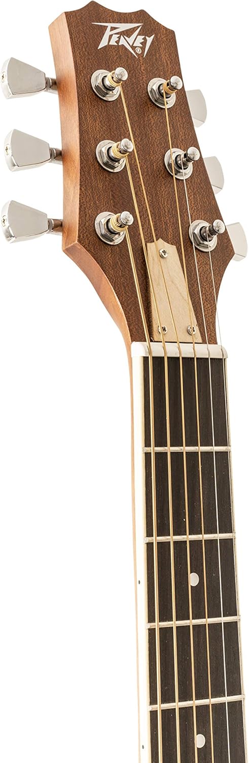 Peavey Delta Woods DW-1 Acoustic Guitar