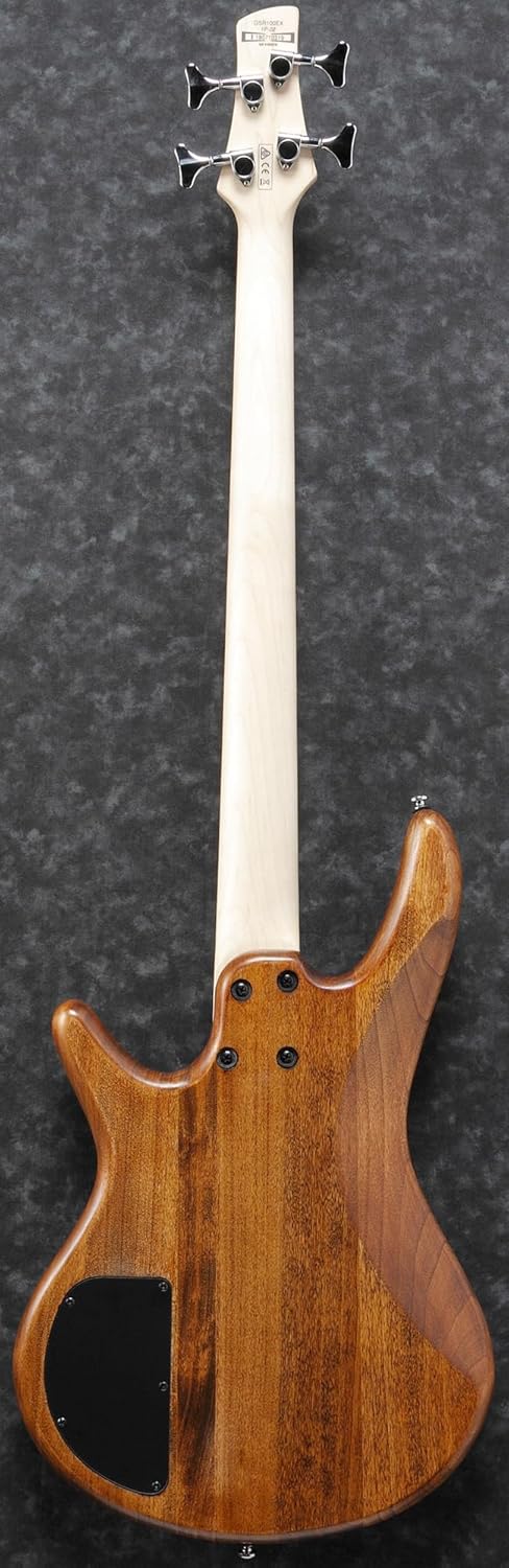 Ibanez GSR100EX SR GIO Bass Guitar - Mahogany Oil Bundle with Gig Bag, Tuner, Strap, Instrument Cable, Austin Bazaar Instructional DVD, and Polishing Cloth