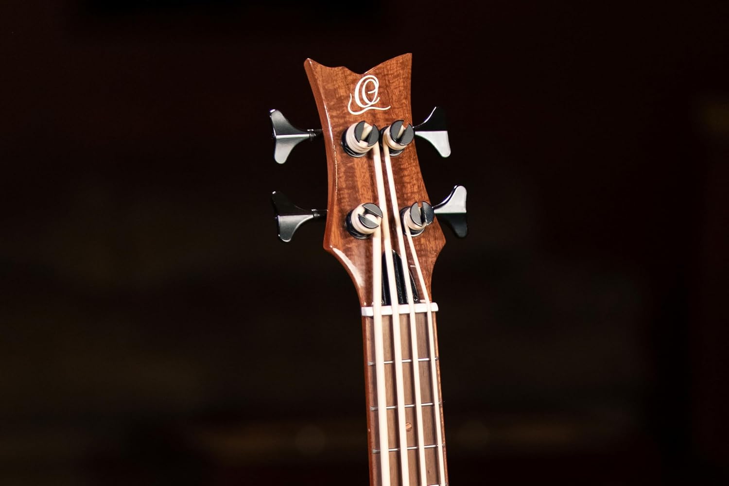 Lizard Series Acoustic-Electric Uke-Bass w/Bag