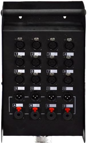Seismic Audio - SALS-12x4x100 - 12 Channel 100' Pro Stage XLR Snake Cable (XLR & 1/4