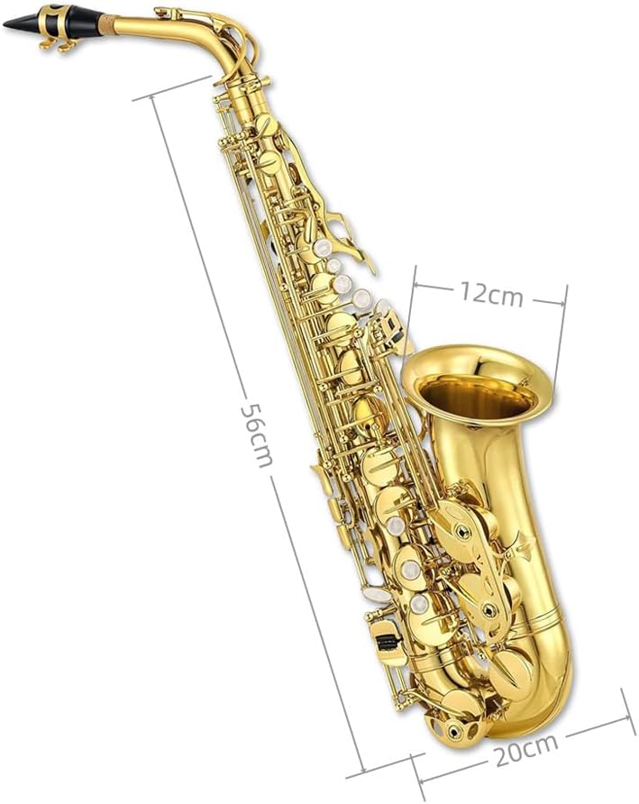 Yinfente Eb Alto Saxophone For Beginners Adult,Saxophone Student,E Flat Alto Sax Full Kit With Reeds,Pads Cushions,Hard Carrying Case,Cleaning Cloth & Rod,Mouthpiece,Gloves,Neck Strap Gold