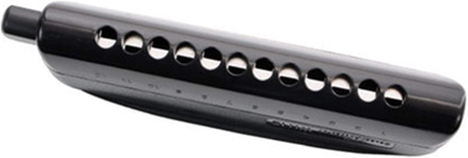 Harmonica 12 Hole Chromatic Harmonica Professional Musical Instrument Mouth Organ Semi-Matte ABS Cover
