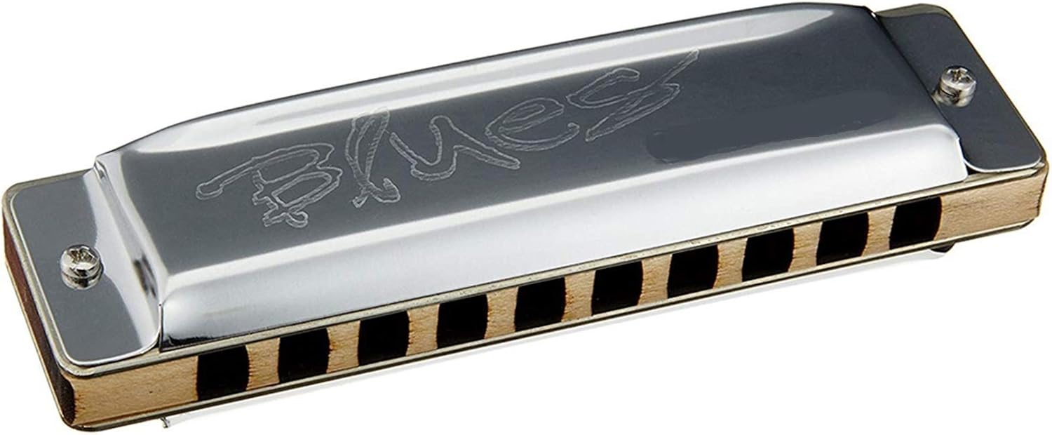 Harmonica Diatonic Harmonica 10 Holes 20 Notes Blues Harp Key C Stainless Steel Cover Musical Instruments (Color : Key Low EB)