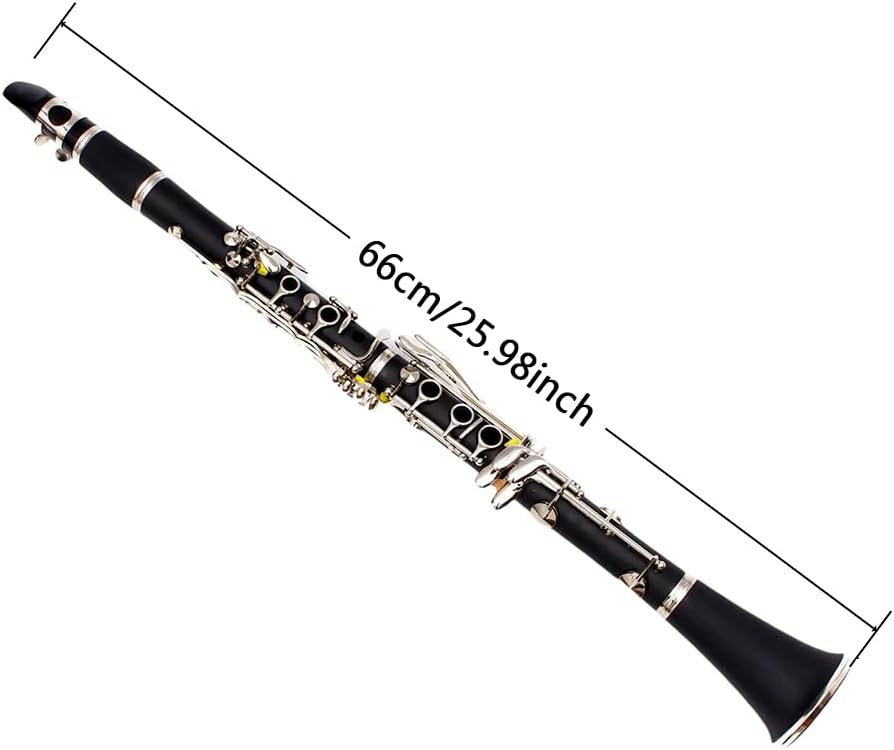 Bb Clarinet for Beginners & Students – Professional B Flat Clarinet 17 Keys with Ebonite Body, Nickel-Plated Keys, 2 Barrels, Cleaning Cloth & Gloves, Carrying Case