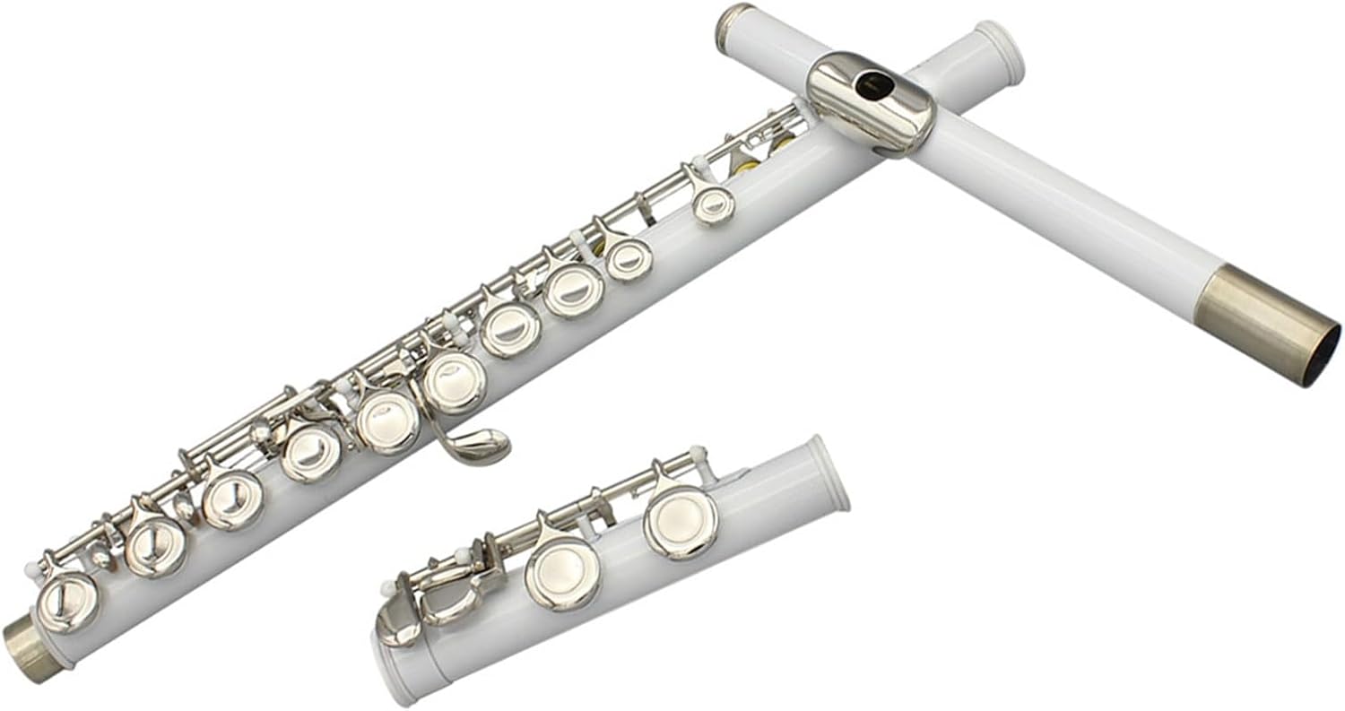 Flute 16 Closed Open Holes C Key Flute with Case Clothfor Student Beginners Woodwind Instrument Flutes Musical Instruments