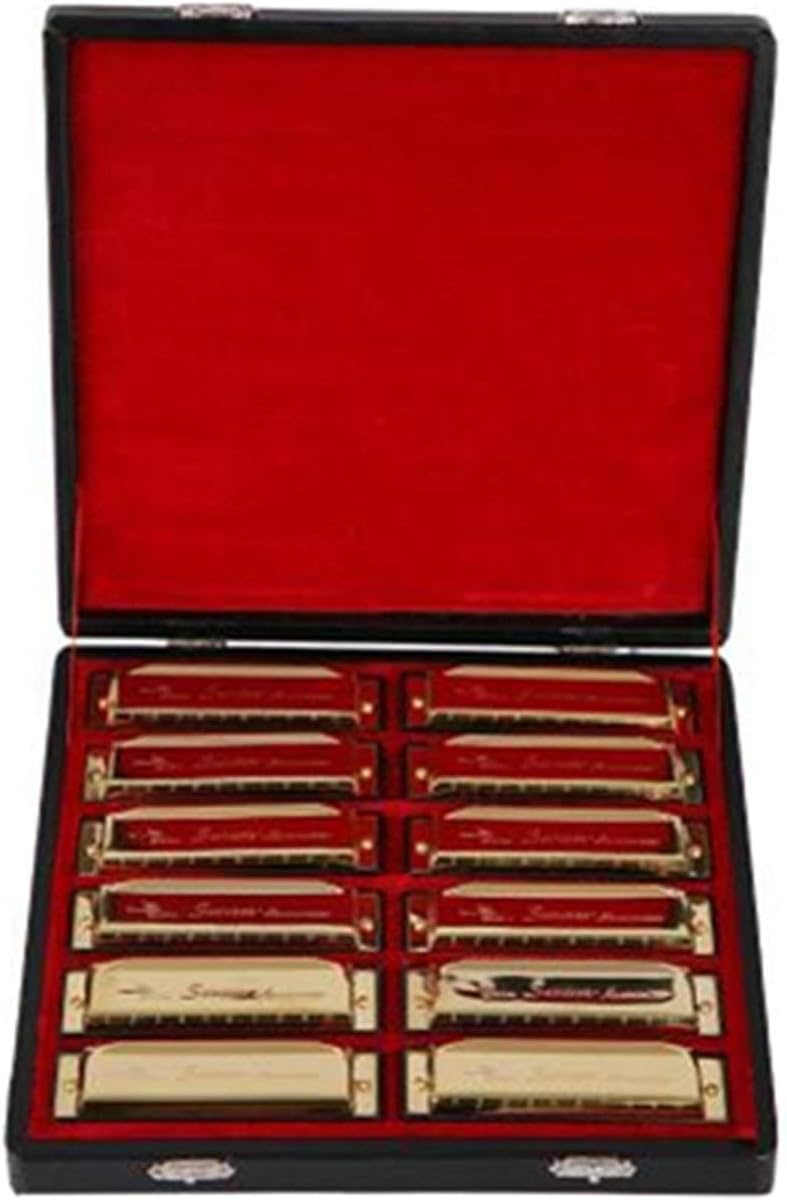 SUOFEILAIMU 12PCS/Set 10 Holes Harmonica Diatonic Blues Harp A/B/C/D/E/F/G Key Mouth Organ Packing Golden