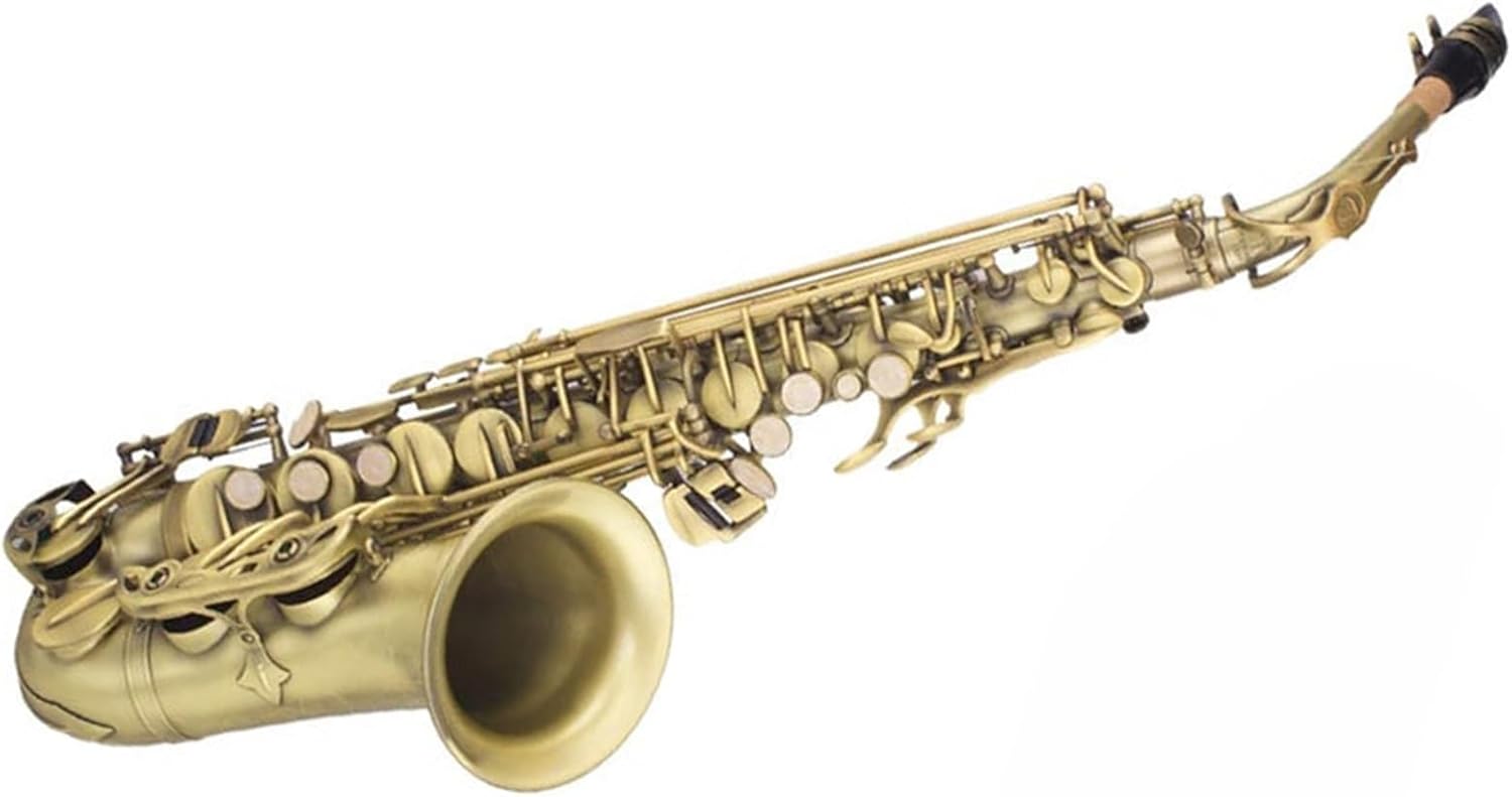 VBDEFRT E Flat Alto Saxophone Wind Instrument Beginner Professional Adult Playing Bronze