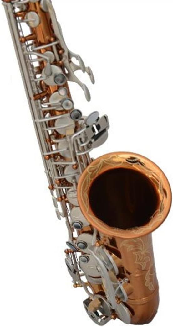 KESHUO E-Flat Alto Saxophone Retro Saxophone Wind Pipe Performance Instrument Beginners Entry-Level Professional Performance Brass Sax Beginners Kit