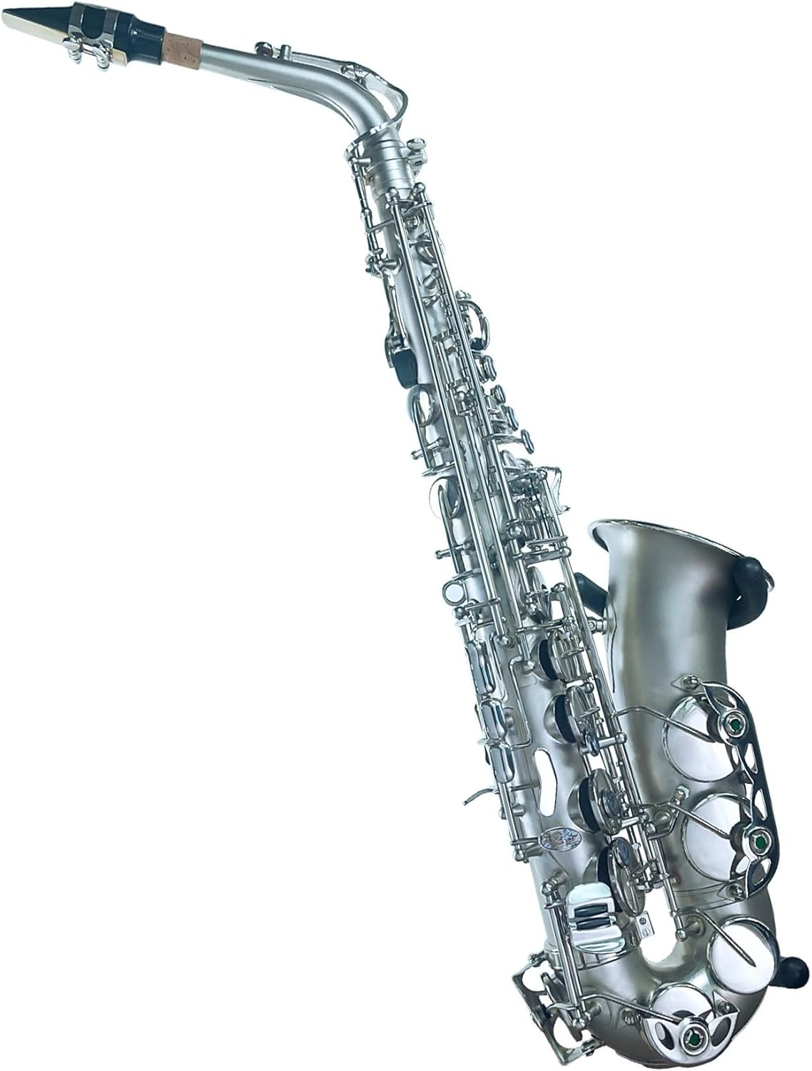 TSTS Alto Saxophone Nickel-Plated Wind Instrument Brass Sax Full Kit