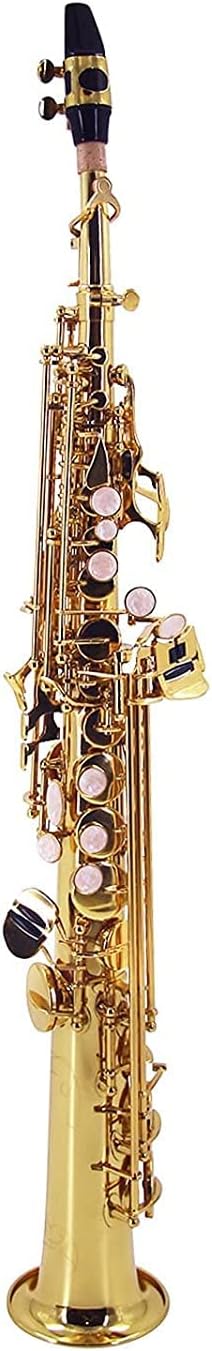 Straight Bb Soprano Saxophone Brass Lacquered Gold Woodwind Instrument with Carrying Case Reed Cleaning Brush Cloth