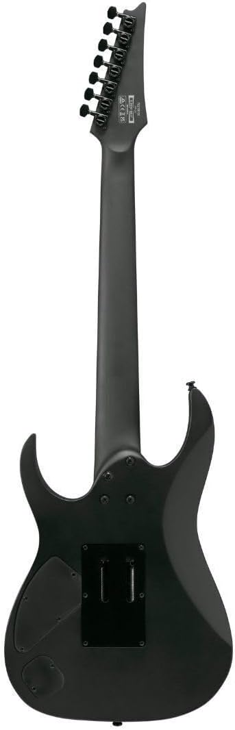 Ibanez RGRB720 Iron Label 7-String Right-Handed Electric Guitar with Nyatoh Body, Maple Neck, and Ebony Fingerboard (Black Flat)