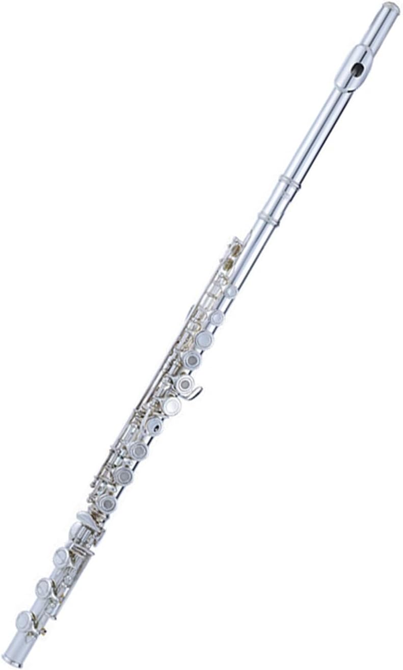 17 Open Hole Closed Hole Flute Wind Instrument White Copper E Key C Key E Key Silver Plated For Beginners (Color : Silver plated 17 open hole plus E key)