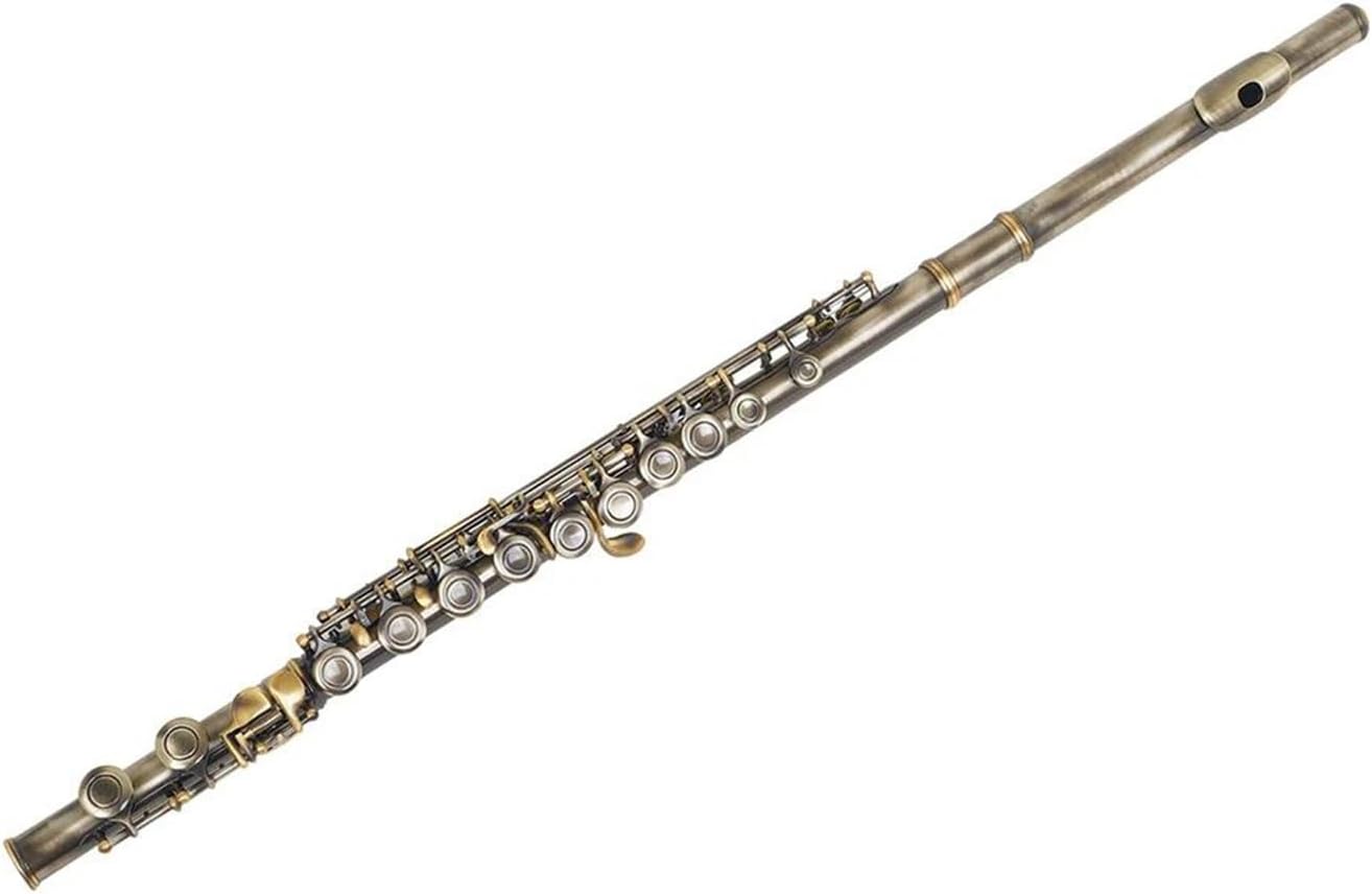 Flute Set 16 Closed Hole Flute C Tone Woodwind Instrument Green Copper Nickel Practical Material