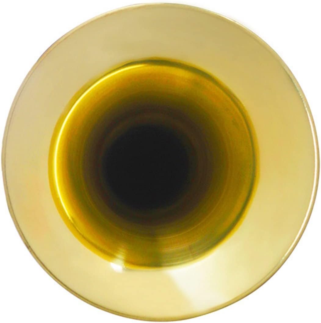 TSTS Horn Trumpet Professional Brass Instrument Bugle for Musical Gifts School Band Beginner Military Orchestra Bugle Trumpet