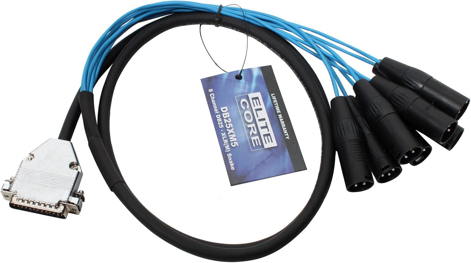 Elite Core DB25XM5 25-Pin D-Sub to 8 XLR Male Breakout Snake, 5ft