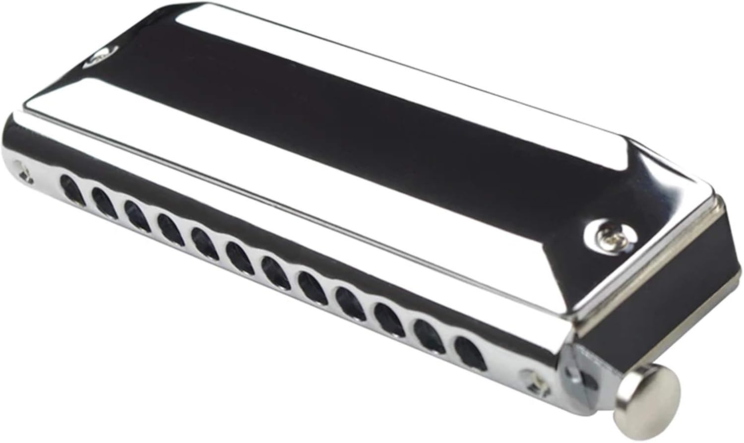 SUOFEILAIMU Chromatic Harmonica Alto Chromatic Harp Lower C 12 Holes Mouth Organ Musical Instruments (Color : T1248Z)