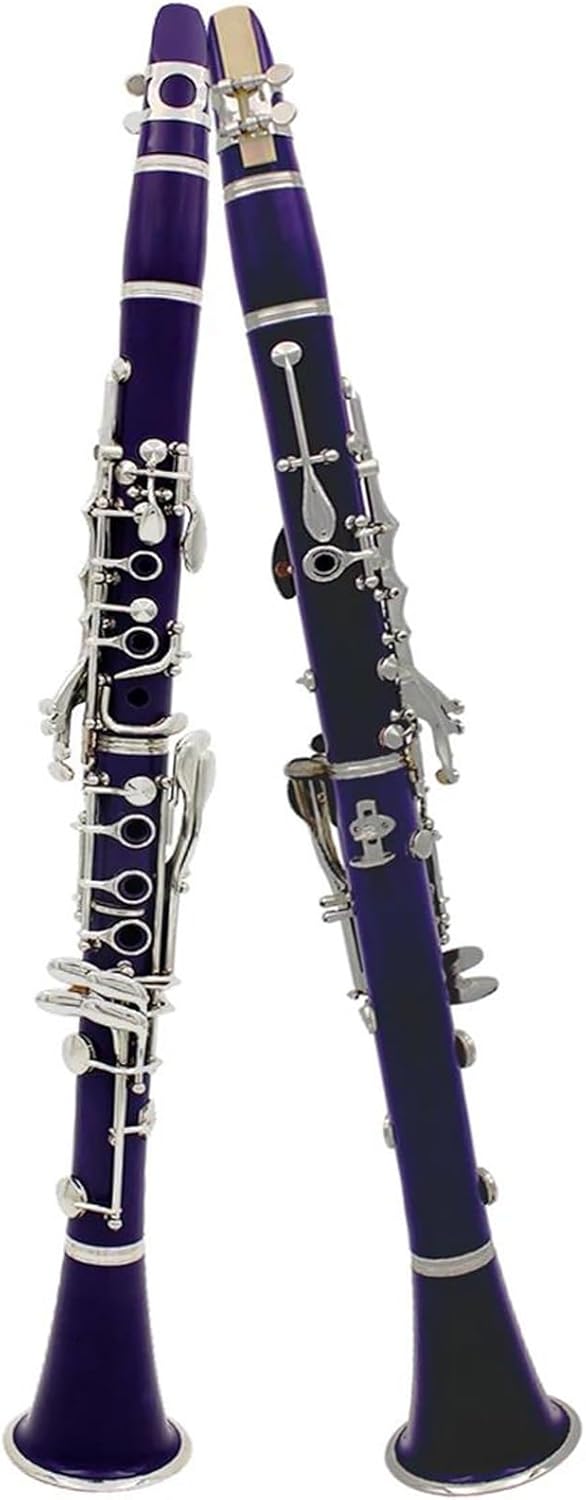 Clarinet Musical Instruments Purple Bb Clarinet B Key Beginner Clarinet For School Orchestra Adults With Hard Shell Kit Stand Gloves(Set)