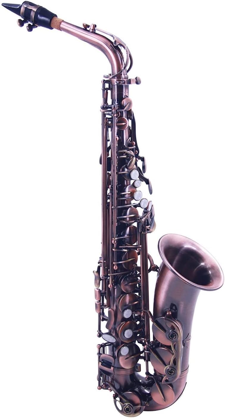 KESHUO EB Alto Saxophone Sax 802 Key Type Woodwind Instrument with Carrying Case Reed Cleaning Brush Cloth Gloves Straps Brass Sax Beginners Kit (Color : Style2)