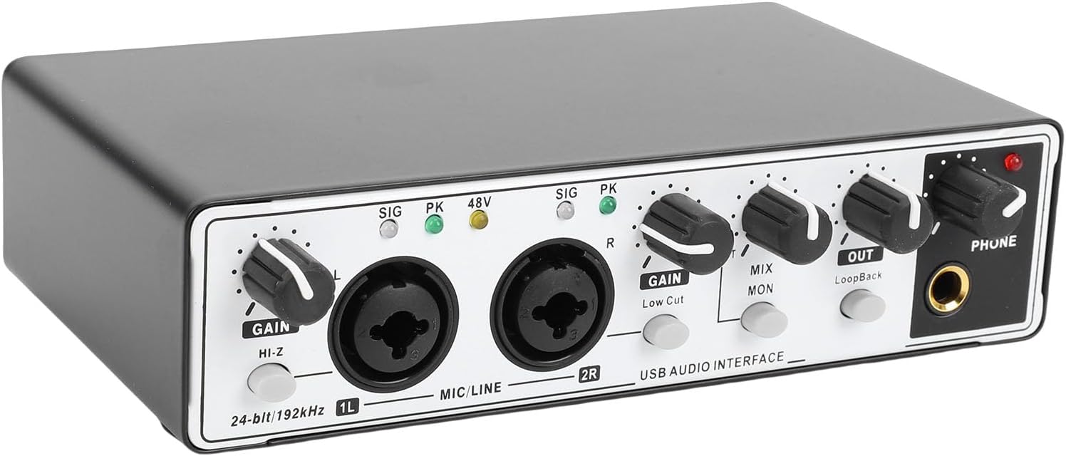 Diydeg USB Audio Interface, 24 Bit 192 kHz XLR Input Home Studio Audio Interface with 2 USB Cables, 48V Power, Compact Design, for Recording Music, Podcasting, Streaming (Black White)
